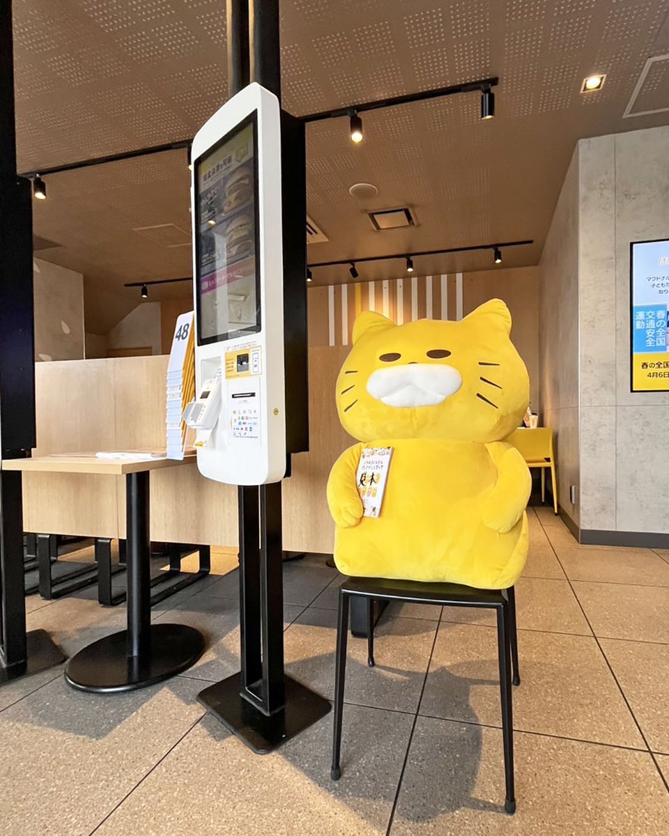 ノラネコぐんだん公式 tweet media