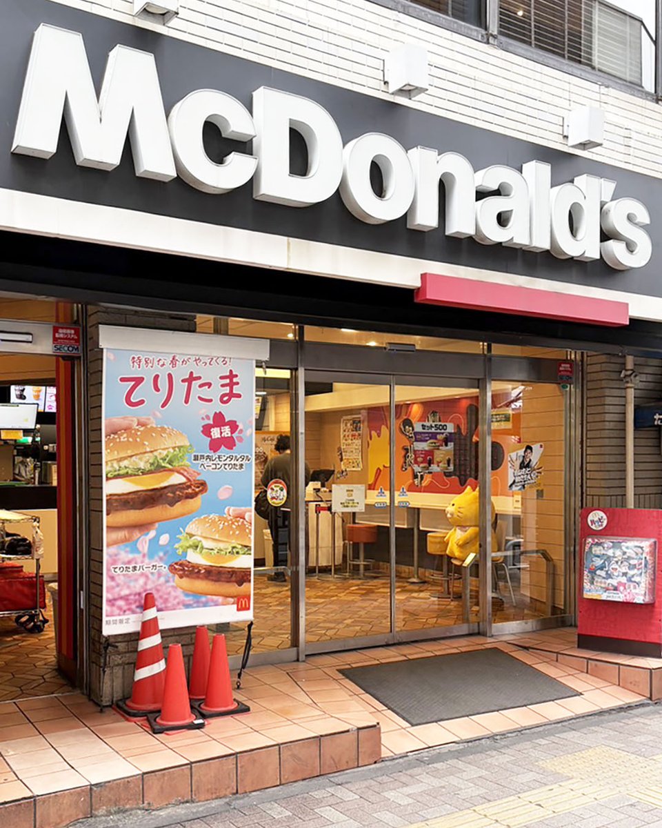 ノラネコぐんだん公式 tweet media