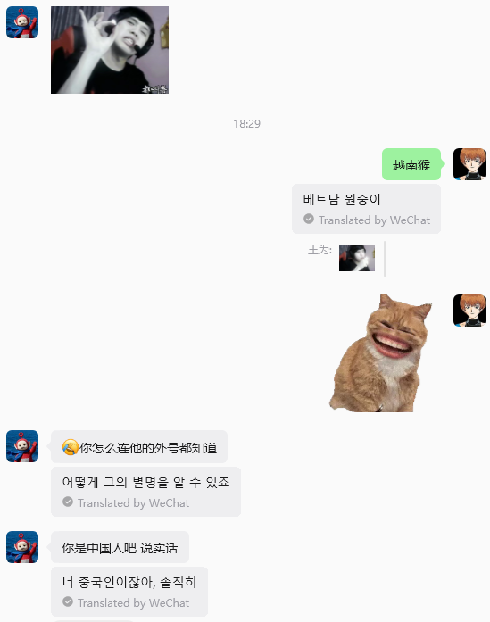 ペコムズ_페코무즈 tweet media