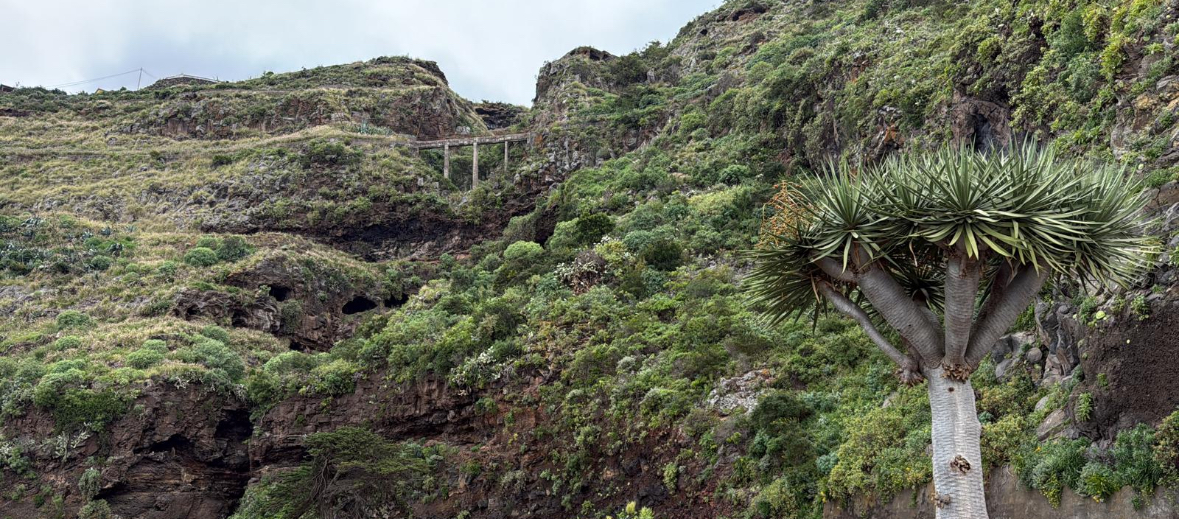 Hispanic Nomad | Remote Work, Travel, Growth tweet media