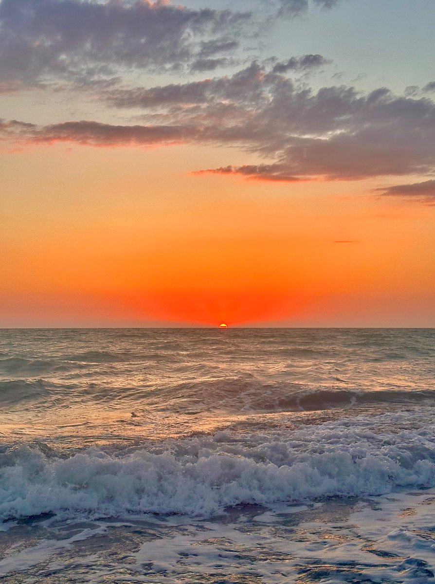 Mira🌺 tweet media