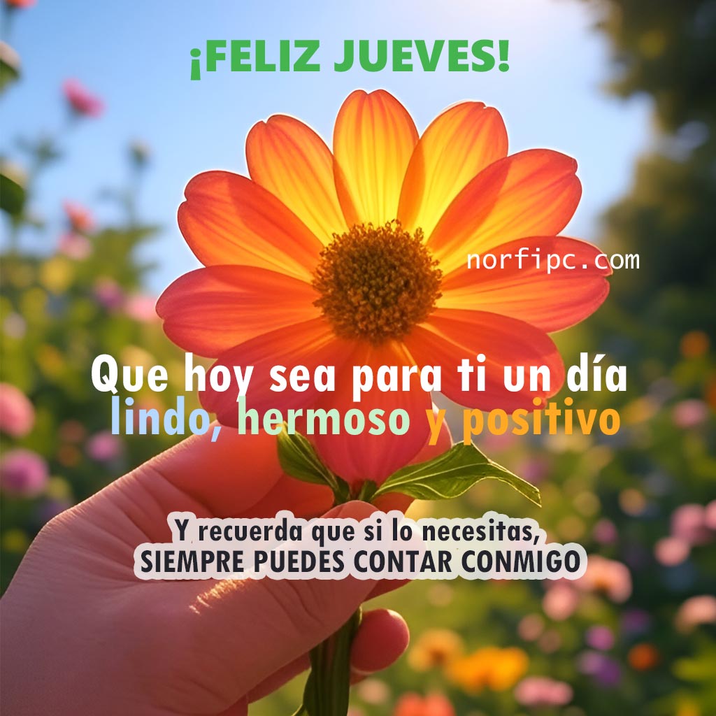 FrasesNorfiPC's tweet image. ¡Buenos días!
Que hoy sea para ti un día lindo, hermoso y positivo. Recuerda que si lo necesitas, siempre puedes contar conmigo.
¡Feliz Jueves! 
#buenosdias
#jueves
#felizjueves
