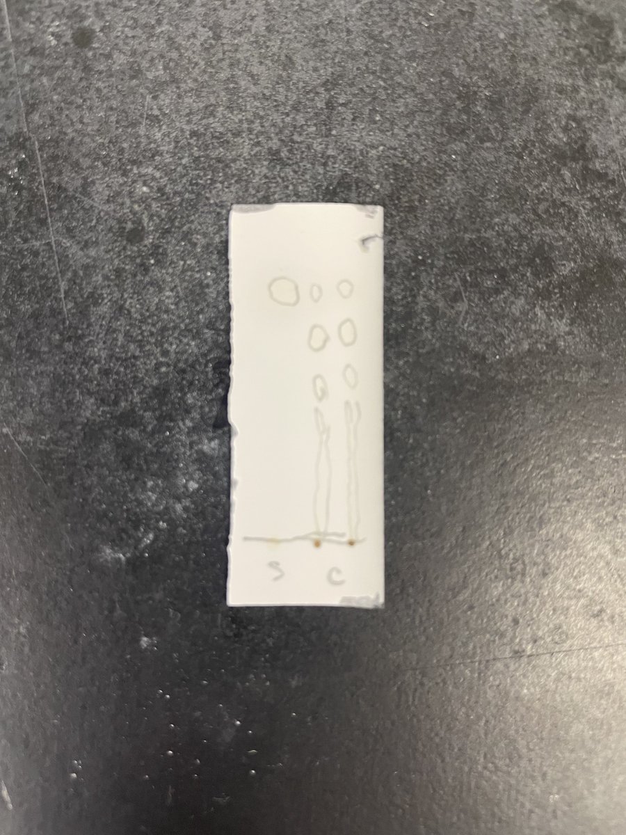 manabepharm's tweet photo. どれかはものであれ https://t.co/dU9J5QsWey