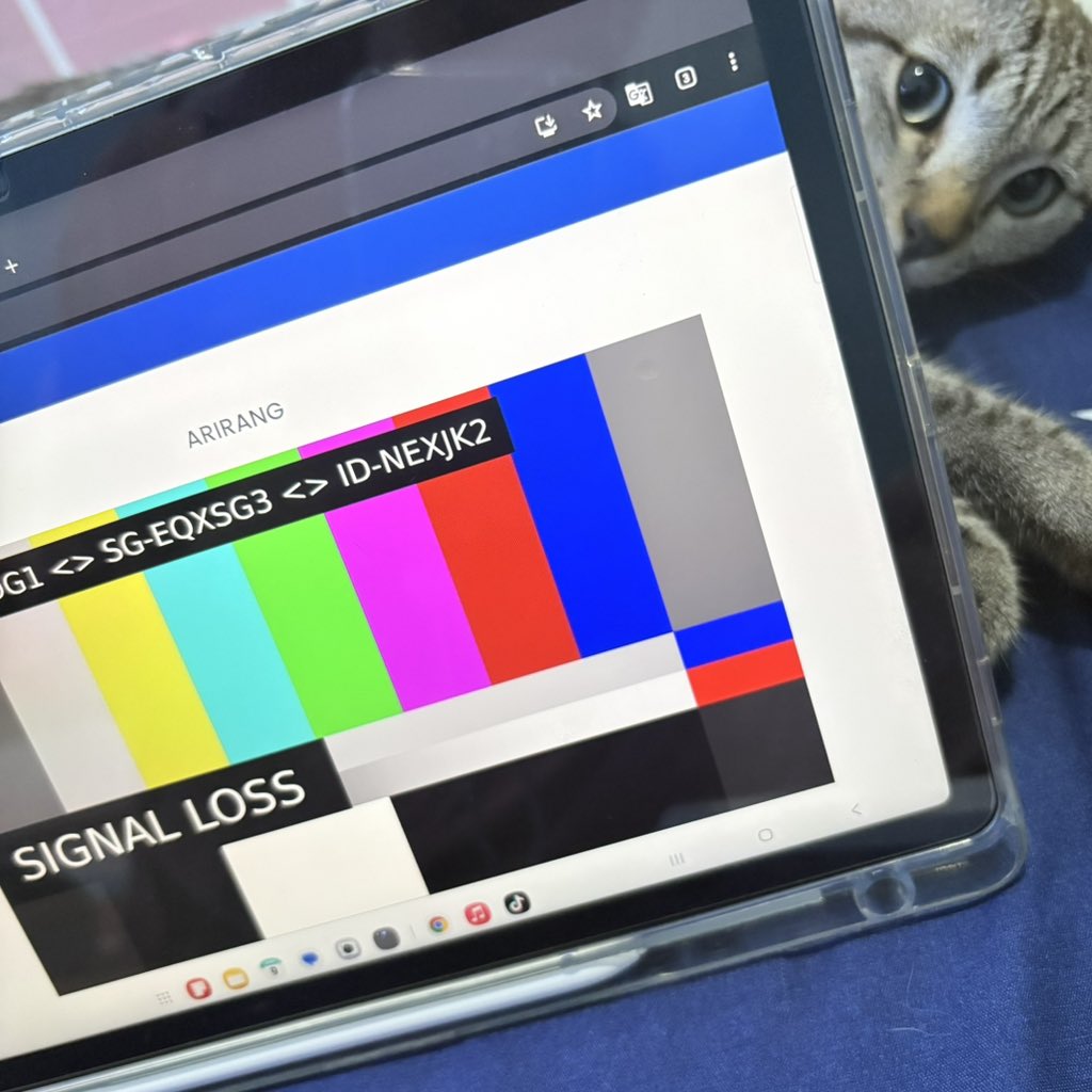 ⋆࣪ ִֶᴍᴇᴡ。🪭 tweet media