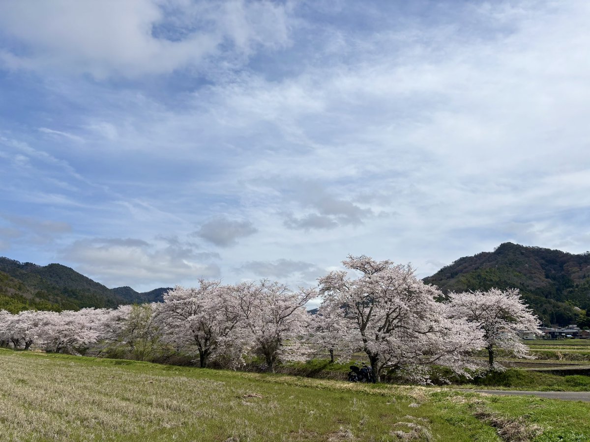 もとさん tweet media