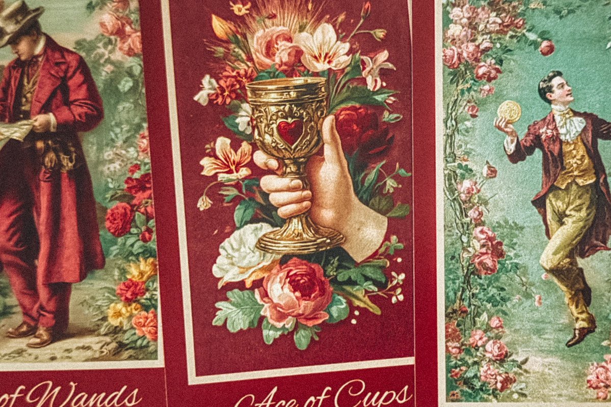 시트러스 타로 tweet media