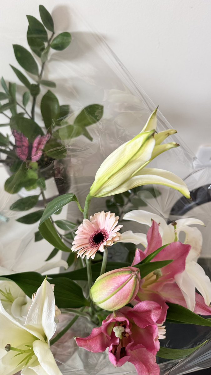 Coach Rawan® tweet media