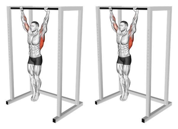 AyusWellness's tweet photo. 3 tests that predict the day you'll die better than most blood tests:

1. Grip Strength

The Test
• Hang from a pull-up bar
• Overhand grip
• Arms fully extended
• No swinging or kipping
• Time how long you can hold

Men
• 60+ seconds = strong predictor of good health and longevity
• 90+ seconds = excellent
• <30 seconds = increased risk marker

Women
• 30–45 seconds = good
• 60+ seconds = excellent
• <20 seconds = increased risk marker

What it measures:

Overall muscle strength, neuromuscular health and physical reserve.

Research:

Every 5kg increase in grip strength is linked with about 16 percent lower all-cause mortality.

How to train it:

Lift heavy weights and carry heavy loads.

2. Sit to Stand Test

The Test
• Sit on a standard chair (about 43–45 cm height)
• Arms crossed over chest
• Stand up fully, then sit back down
• Repeat for 30 seconds
• Count total reps

Men
• 20–24 reps = good
• 25+ reps = excellent
• <15 reps = elevated risk

Women
• 18–22 reps = good
• 23+ reps = excellent
• <12–14 reps = elevated risk

What it measures:

Lower body strength, power and functional capacity.

Research:

Slower performance predicts an earlier death and loss of independence.
Taking longer than about 15 seconds for five repetitions is associated with higher risk of decline.

How to train it:

Bodyweight squats and leg strength exercises.

3. Gait Speed

The Test
• Measure a 10 metre walk
• Walk at normal pace (not sprinting)
• Time it
• Calculate speed: metres per second
• ≥1.2 m/s = excellent longevity marker
• 1.0–1.2 m/s = normal
• <0.8 m/s = increased mortality risk
• <0.6 m/s = high risk / frailty

What it measures:

Walking speed as a marker of heart health, coordination and vitality.

Research:

Every 0.1 metres per second faster walking speed is associated with 12 percent lower mortality.

How to train it:

Brisk walking, interval walking and lower body strength training.

PMID: 26634465
PMID: 21617190