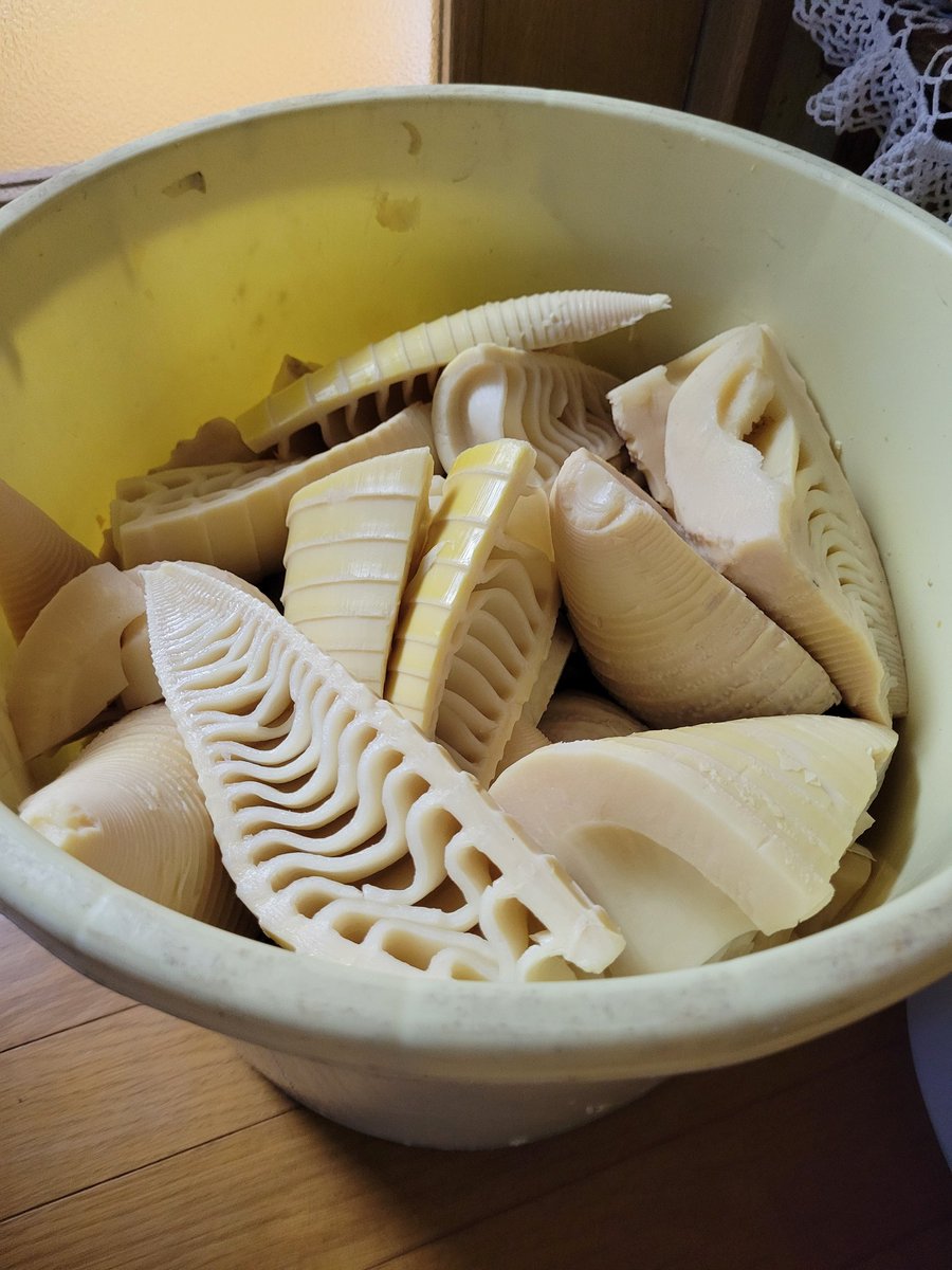 931ゴリラ tweet media