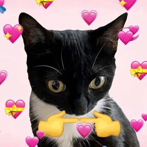 BRUCE(ETH//SOL) tweet media