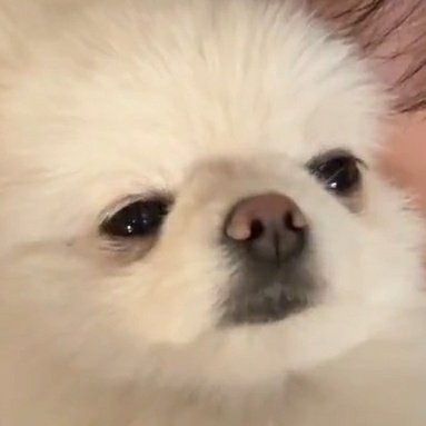 domdu_zip's tweet photo. 오빠가 라이브를 하든말든 졸립다 https://t.co/2ZtAPLJh6P