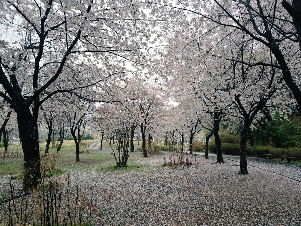 💞욘쿠💞.촬문의환영 📸 tweet media