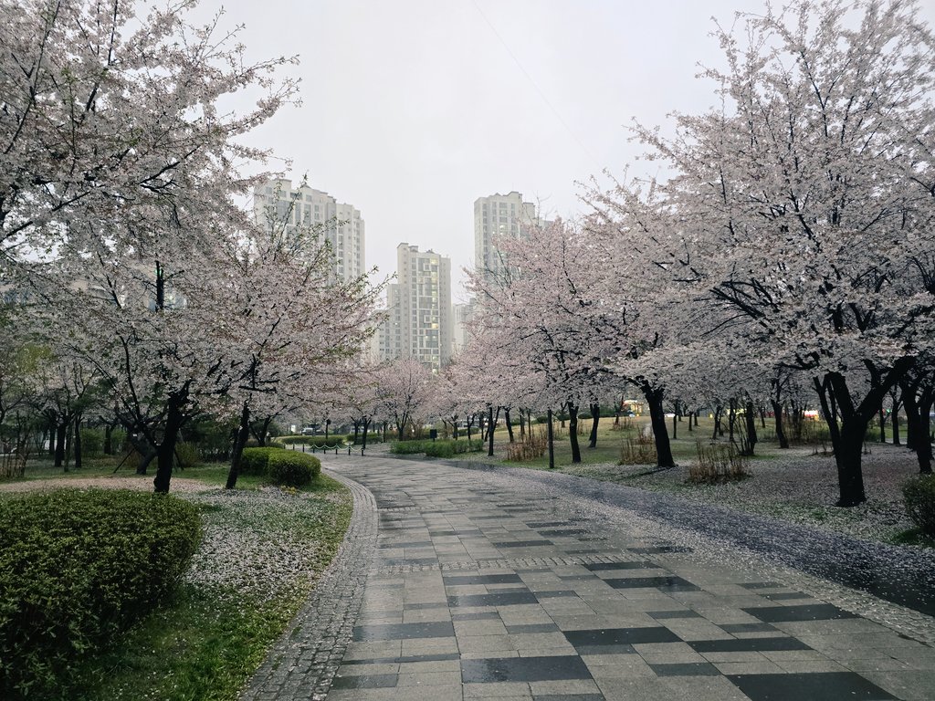 💞욘쿠💞.촬문의환영 📸 tweet media