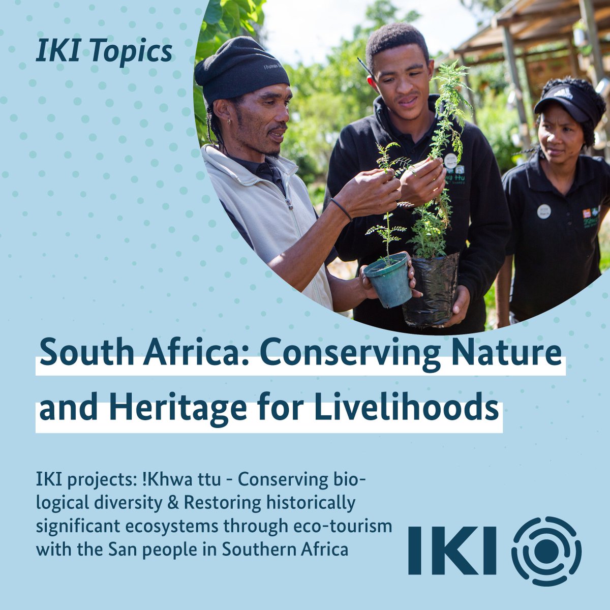 IKI Germany tweet media