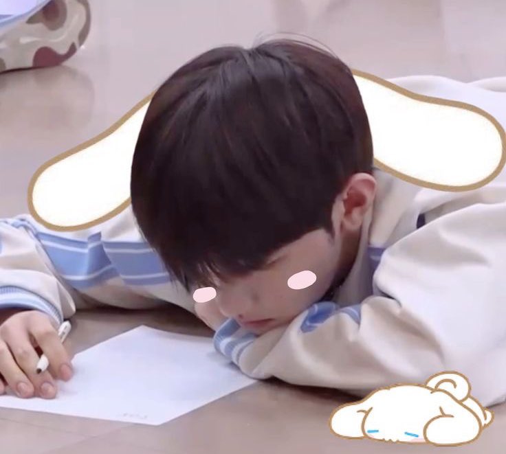 ꒰ᐢ..ᐢ꒱🪽 tweet media