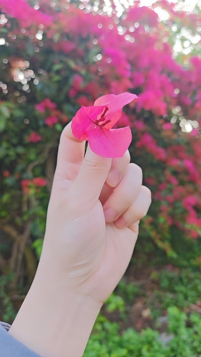 eku520's tweet photo. 我生的平凡，长得普通，可即便这样，还是想把最好的一面展现给你，努力勾引你，让你喜欢上我口牙！ https://t.co/qX3rJmcoHi