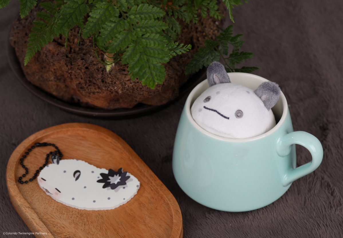 팬베이스 FANBASE tweet media