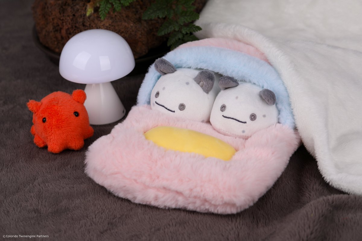 팬베이스 FANBASE tweet media