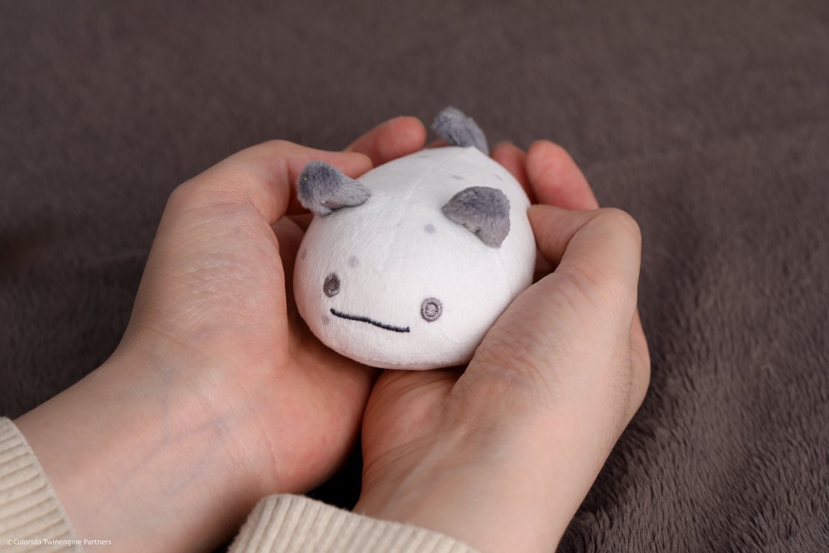 팬베이스 FANBASE tweet media