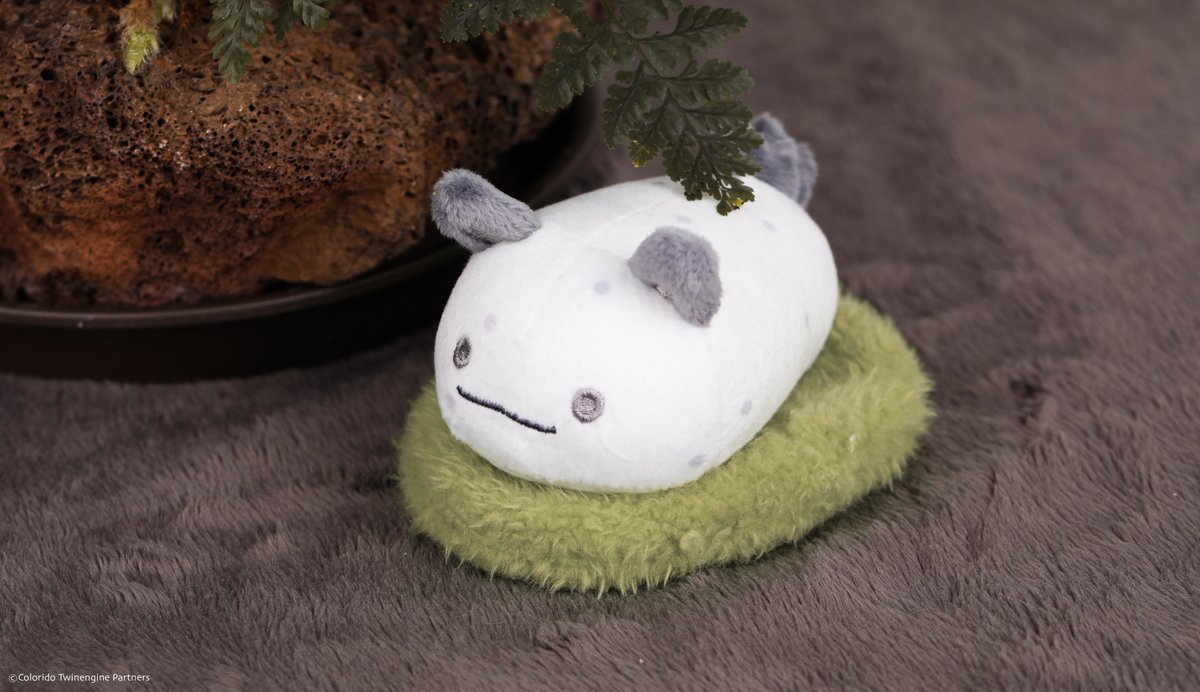 팬베이스 FANBASE tweet media