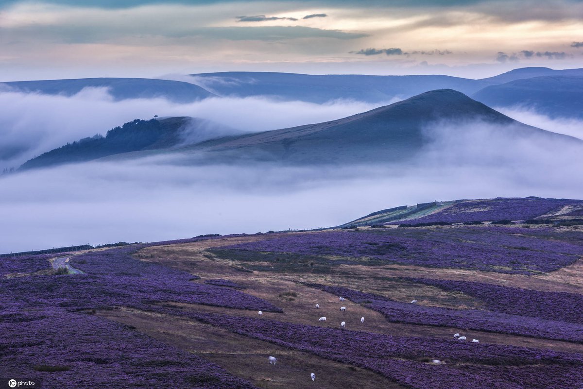 Patricia Martínez tweet media