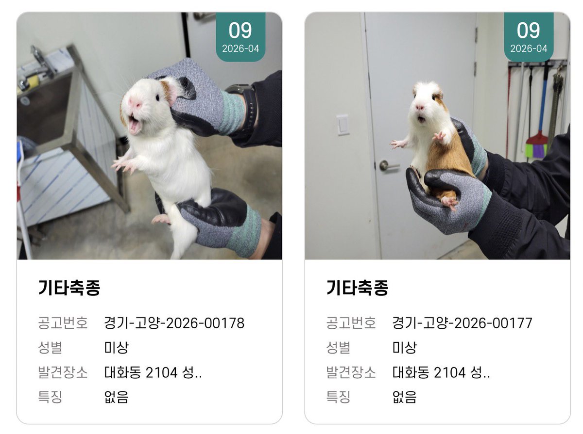 솜기니 tweet media