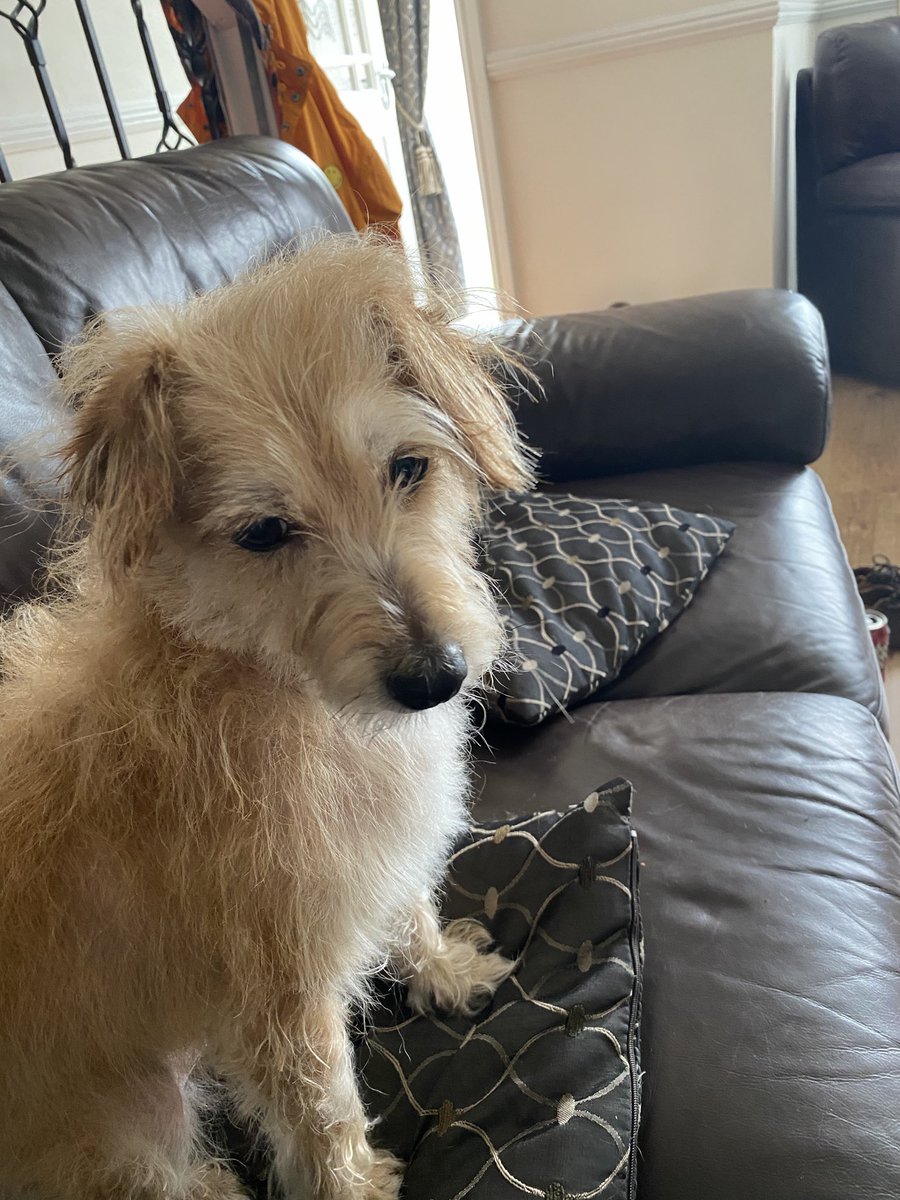 Ian Cosgrove tweet media