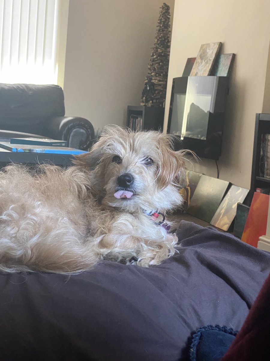 Ian Cosgrove tweet media