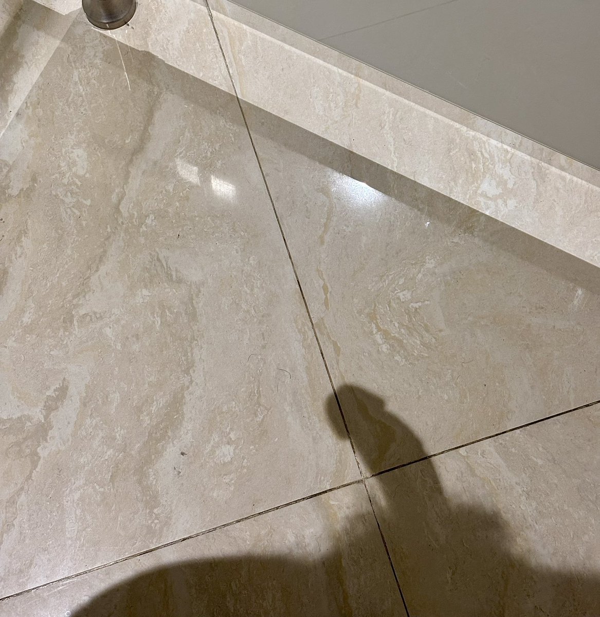 Papa Bear tweet media