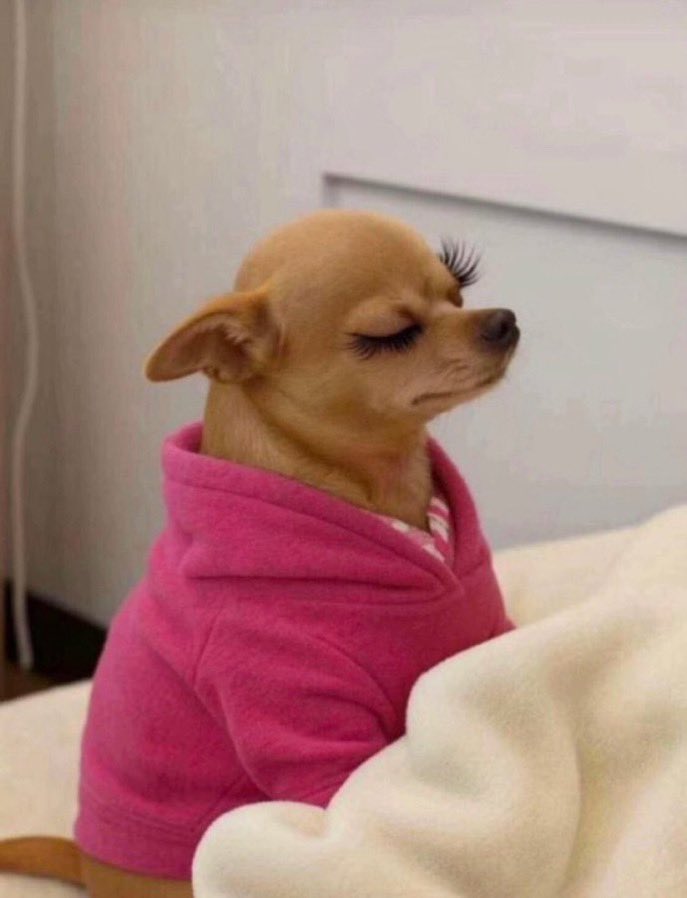 PLUTO WAYS❌️💲💰 tweet media