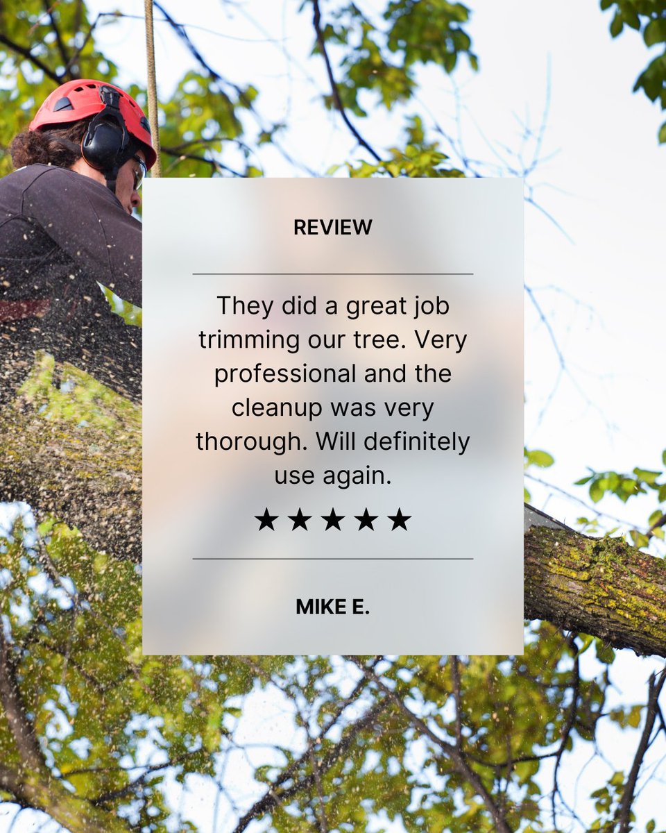 TrufastTree's tweet photo. We appreciate our customers. Thank you for the kind review. ⭐

#springfieldtreeservice #springfieldmo https://t.co/wrftIYKL4L