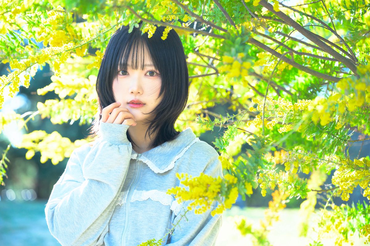 hoshi💫 tweet media
