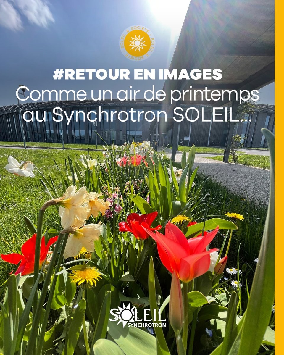 Synchrotron SOLEIL tweet media