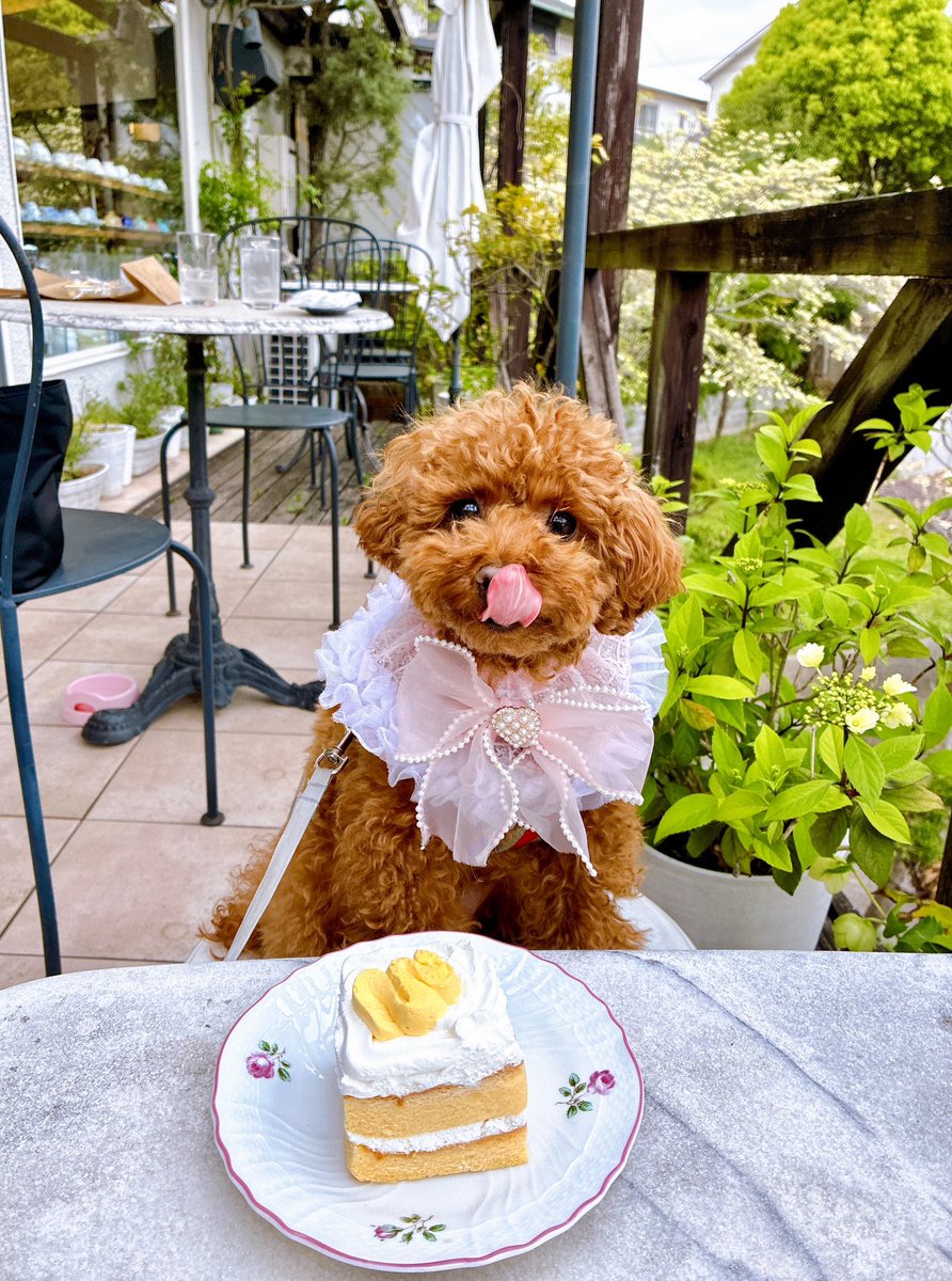 𝚖 𝚘 𝚌 𝚊 tweet media