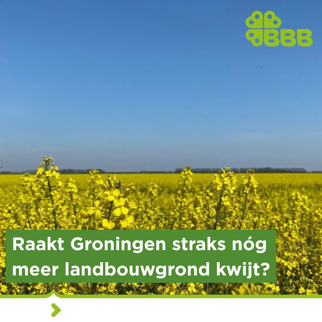 BBBGroningen tweet media