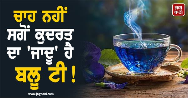 JagbaniOnline's tweet image. ਬਲੂ ਟੀ 'ਚ ਭਰਪੂਰ ਮਾਤਰਾ 'ਚ ਐਂਟੀ-ਆਕਸੀਡੈਂਟ ਪਾਏ ਜਾਂਦੇ ਹਨ। ਇਸ ਦੀ ਸਭ ਤੋਂ ਵੱਡੀ ਖ਼ੂਬੀ ਇਹ ਹੈ ਕਿ ਇਹ ਕੈਫੀਨ ਮੁਕਤ ਹੁੰਦੀ ਹੈ, ਜਿਸ ਕਾਰਨ ਇਹ ਸਰੀਰ ਨੂੰ ਨੁਕਸਾਨ ਪਹੁੰਚਾਏ ਬਿਨਾਂ ਤਾਜ਼ਗੀ ਪ੍ਰਦਾਨ ਕਰਦੀ ਹੈ।
#Bluetea #Benefits #HealthTips