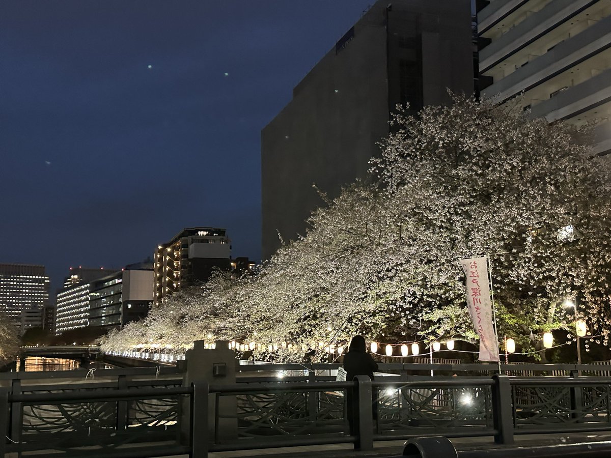 bunya82's tweet photo. 葉桜気味の夜桜もまた良し。うなきもに日本酒を合わせた。 https://t.co/eHGZwlYgIa