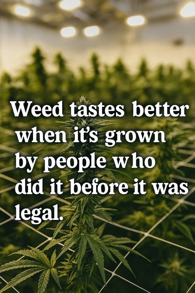 𝒜𝓃𝑔𝑒𝓁🪽 tweet media