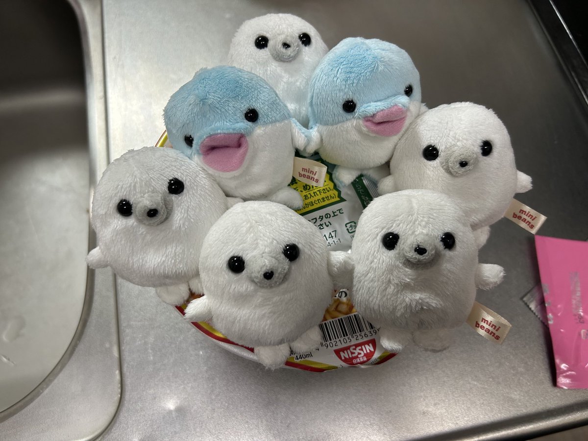 まめ子 tweet media