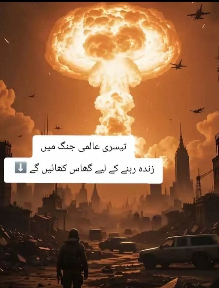 Amina Nur tweet media