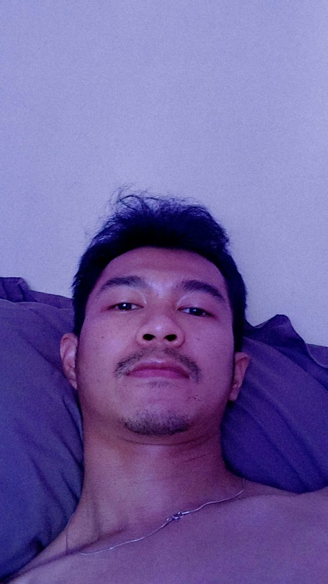 Bibo  tweet media