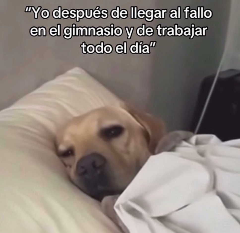 🌙 mini textos tweet media