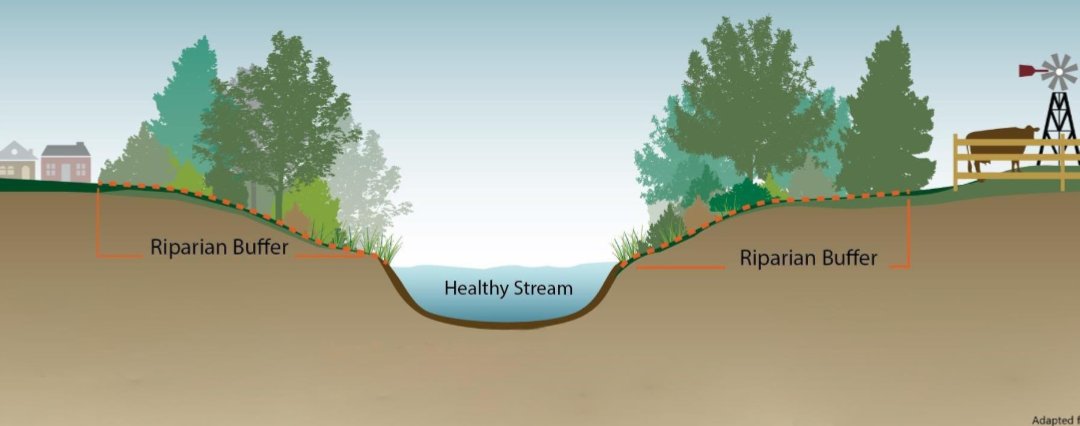 Patrick Heizer tweet media