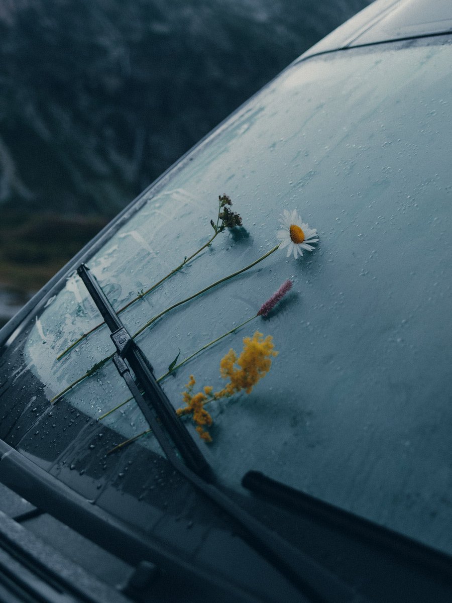 Capitu (Maria Capitolina Santiago) tweet media