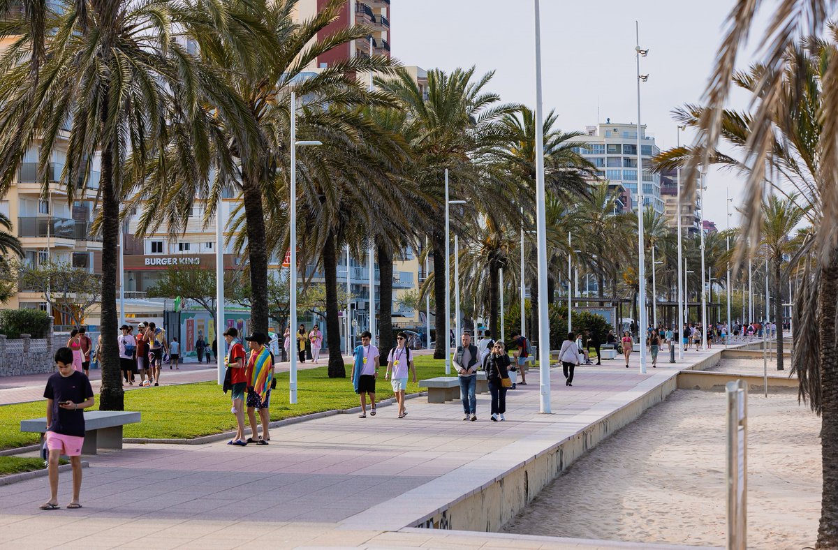 josemaprieto's tweet photo. #Gandia de nou al capdavant del turisme en #SetmanaSanta
📌Hem tingut una ocupació hotelera al 90%, igual que en #Benidorm i per damunt de la mitjana de tota la #ComunitatValenciana que s'ha situat en el 88%.
📌Vam acollir 4 esdeveniments esportius que van atraure més de 13.000 persones i ara acollim més de 6.000 estudiants portuguesos.
És el resultat del treball, la promoció constant i la col·laboració màxima amb el sector. Continuem.
(Fotos: À.Oltra i N.Francés)