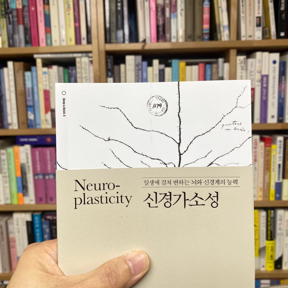 책판다의 뇌과학 tweet media