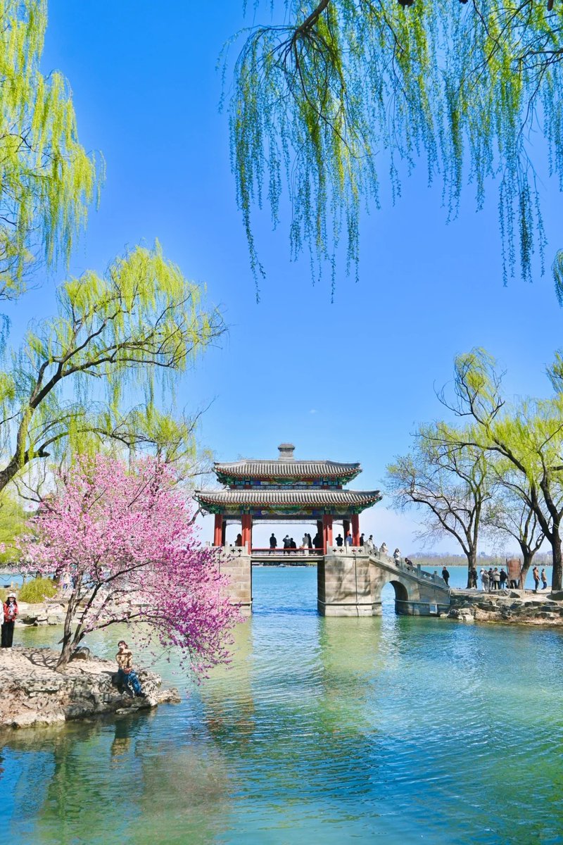 牛奶小草莓(互fo) tweet media