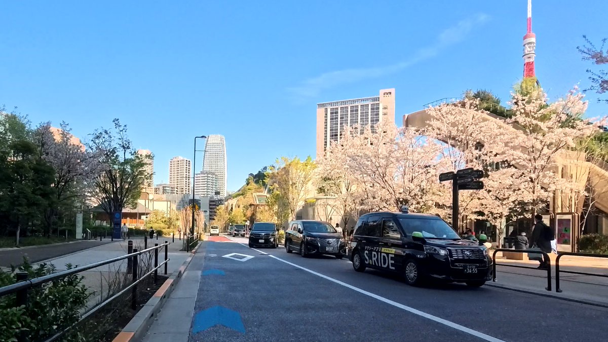 k_create1's tweet photo. アクションカメラInsta360 AcePro2を自転車に乗せて走ったら桜の絶景が撮影できた！
#桜2026 #東京 #サイクリング #TokyoRideView #お花見 #AcePro2

動画はこちら
　↓
🎥東京都心の桜を繋いだ🌸サイクリングビュー15選【東京ライドビュー🌸2026年春】
https://t.co/nCR6DBRZ8B @YouTubeより https://t.co/s9j7gI3wZK