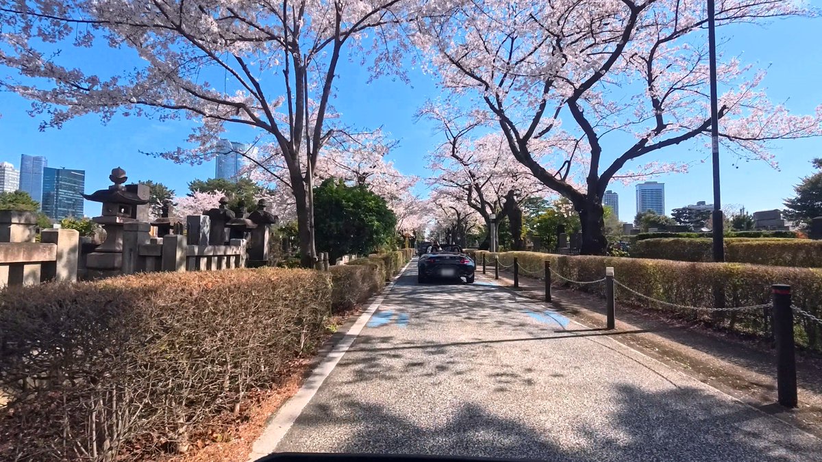 k_create1's tweet photo. アクションカメラInsta360 AcePro2を自転車に乗せて走ったら桜の絶景が撮影できた！
#桜2026 #東京 #サイクリング #TokyoRideView #お花見 #AcePro2

動画はこちら
　↓
🎥東京都心の桜を繋いだ🌸サイクリングビュー15選【東京ライドビュー🌸2026年春】
https://t.co/nCR6DBRZ8B @YouTubeより https://t.co/s9j7gI3wZK