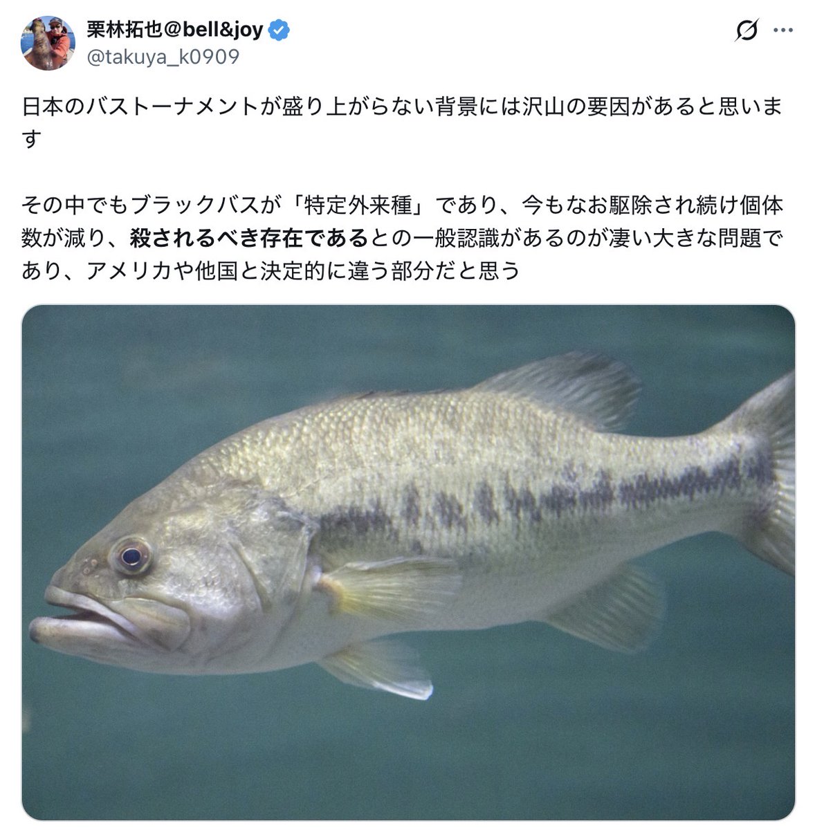 サイド3の大蟷螂 tweet media